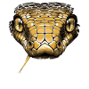 Schlange Python Kobra Mamba Klapperschlange Snake