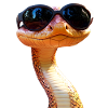 Schlange Python Kobra Mamba Klapperschlange Snake