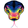 Schlange Python Kobra Mamba Klapperschlange Snake