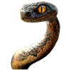 Schlange Python Kobra Mamba Klapperschlange Snake