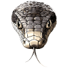 Schlange Python Kobra Mamba Klapperschlange Snake