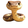 Schlange Python Kobra Mamba Klapperschlange Snake
