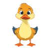 Cute Duck