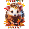 IGEL HERBSTZEIT IGELZEIT