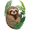 Sloth Illustration