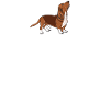 Basset Hound Gifts