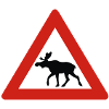 Norway - Attention Moose - Warning Sign