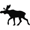 Norway - Moose