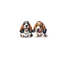 Basset Hound Gifts