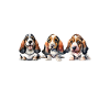 Basset Hound Gifts
