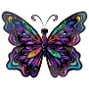 Papillon papillon