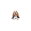Basset Hound Gifts