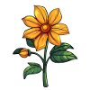 Fleurs
