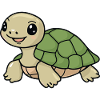 Turtle Tortuga