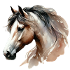 Aquarell Horse