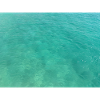Turquoise Sea