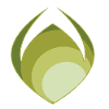 Green abstraction