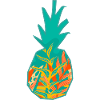 Modern Pineapple Design