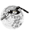 Hibou devant la lune