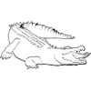 Lineart crocodile