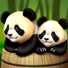 Cute pandas on adventure! 🍃