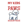 Bichon Frisé Papa