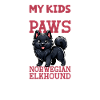 Norwegian Elkhound Dad