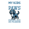 Epagneul Bleu de Picardie Papa
