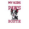 Boston Terrier Dad