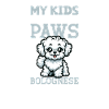 Papa bolognais