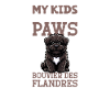 Bouvier des Flandres Papa