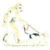 Bigfoot Cat