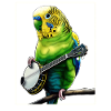 Budgie Budgie Parrot Bluegrass Banj