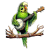 Budgie Budgie Perroquet Bluegrass Banj