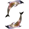 Dolphins Galaxy