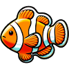 Clownfish