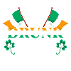 Ireland Pub Lucky Flag
