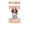Bracco Italiano Papa