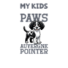 Braque d'Auvergne Papa