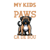 Ca de Bou Papa