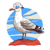 Seagull maritime sailor