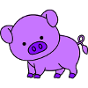 Pig