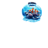 Clownfish Clownfische Clownfisch