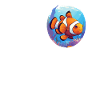 Clownfish Clownfische Clownfisch