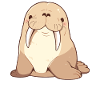 Walrus Walrosse Walross