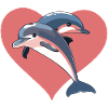 Dauphin Dauphins Mer