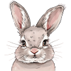 Lapin Hoppelhase Lapin