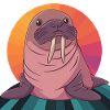 Walrus Alaska Sea Creatures