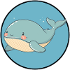 Marine Life Whales Marine Animal