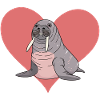 Walrus Sea Animal Sea Lion
